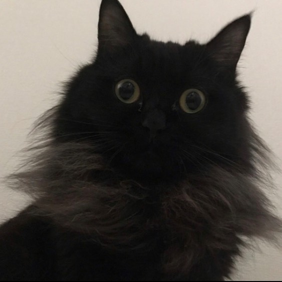 パンの写真